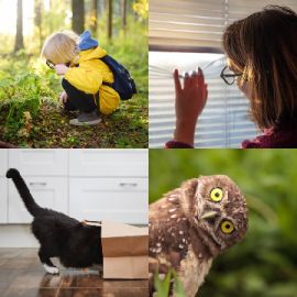 4 pics 1 word January 12 2026 Bonus puzzle