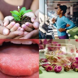 4 pics 1 word January 14 2026 Bonus puzzle