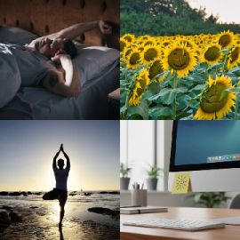 4 pics 1 word Daily puzzle January 9 2026